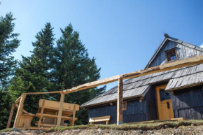 Отель Koča Bistra - Velika planina  Стаховица